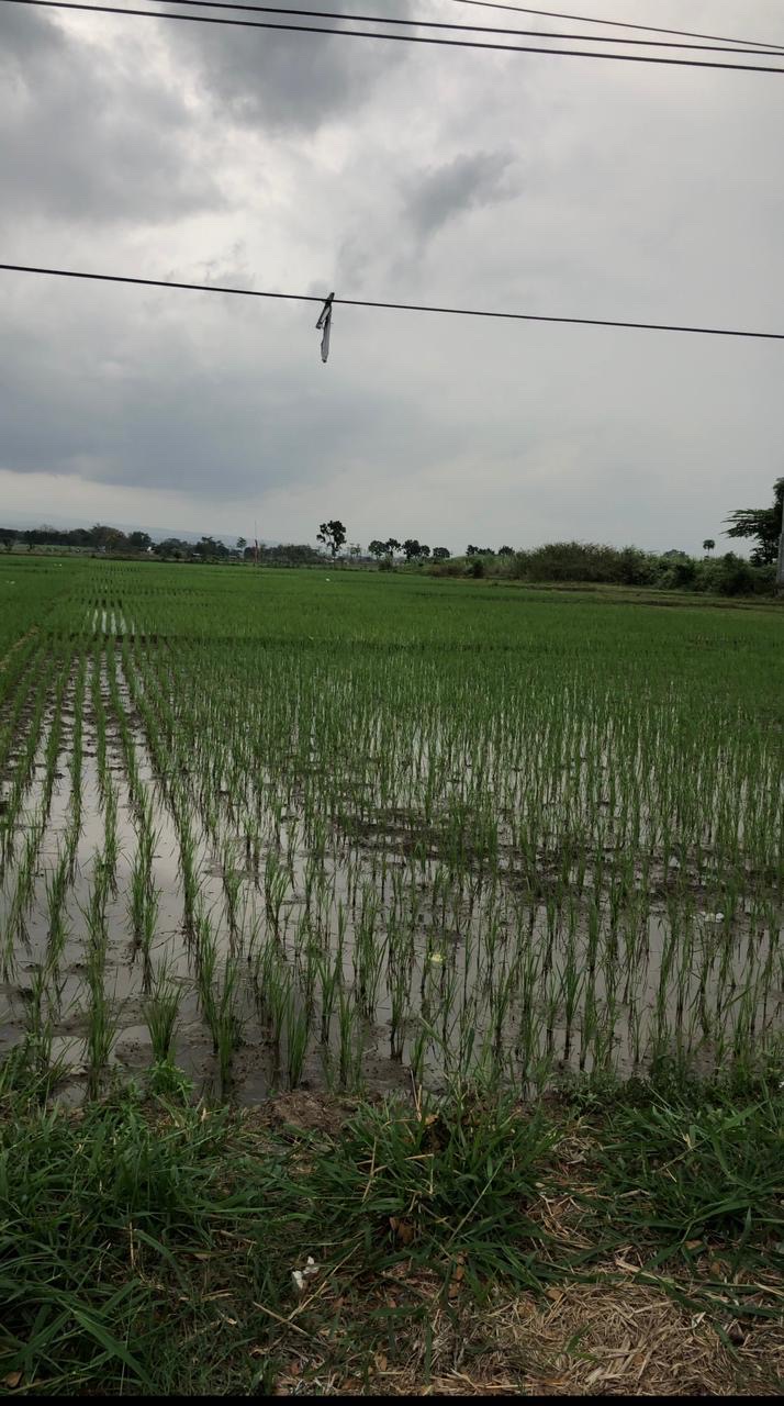 DIJUAL TANAH DI TULUNGAGUNG LOKASI PINGGIR JALAN RAYA UTAMA - Dealkan