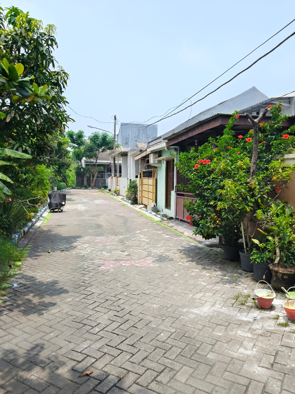 Gambar Kecil 2