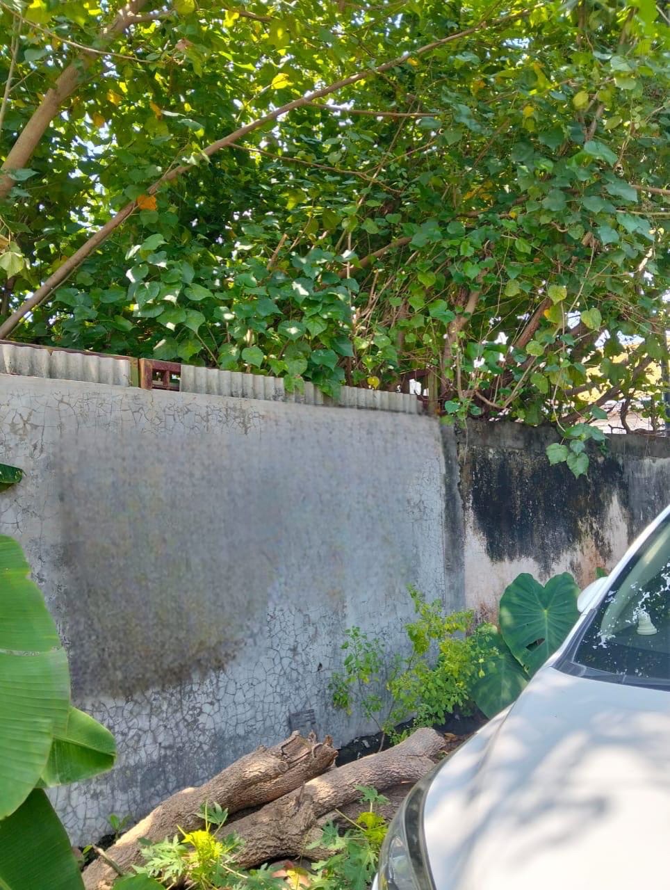 Tanah manyar Tirtoyoso dijual/disewakan siap huni - Dealkan