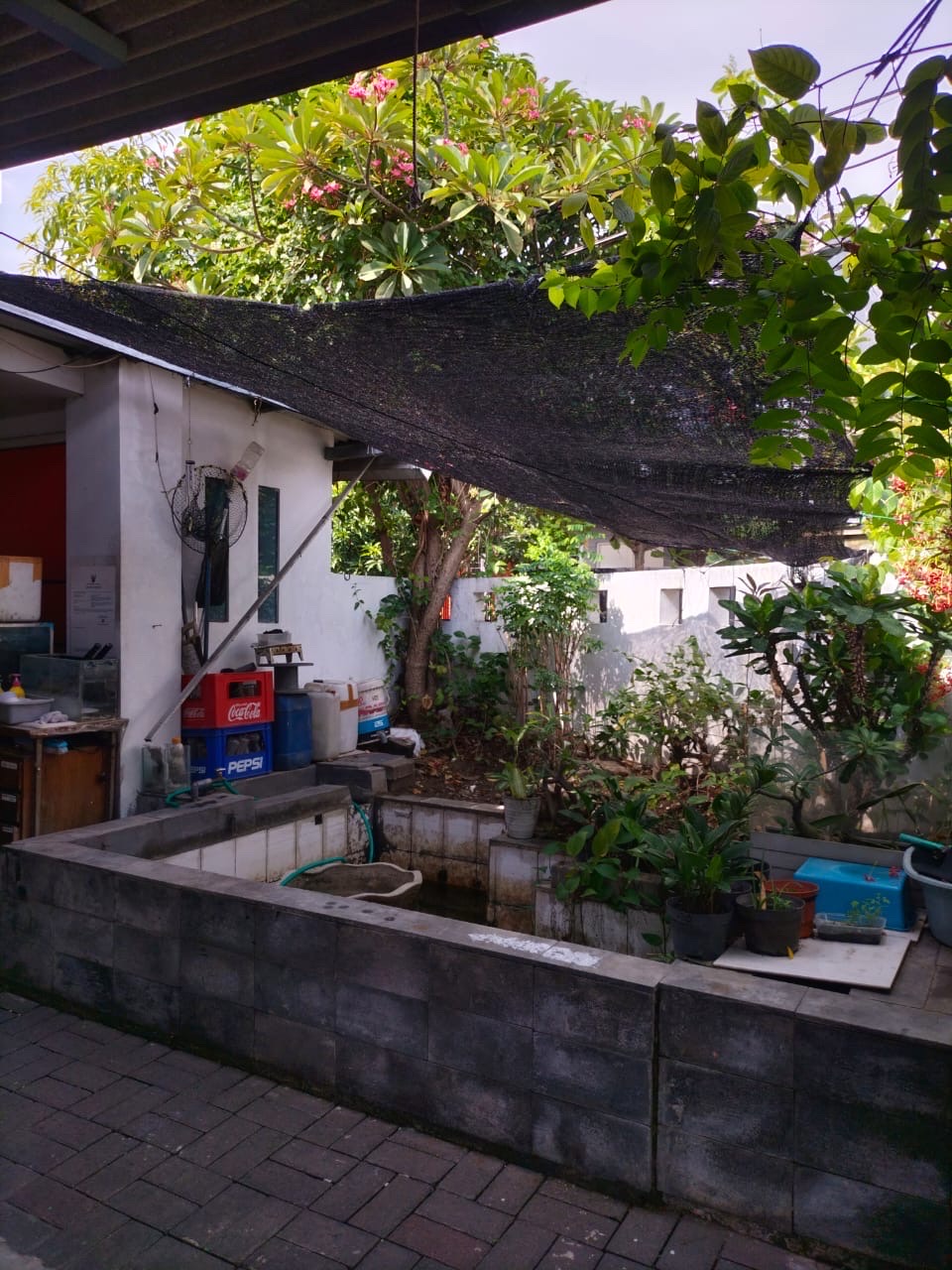 Detail Listing Properti Dealkan