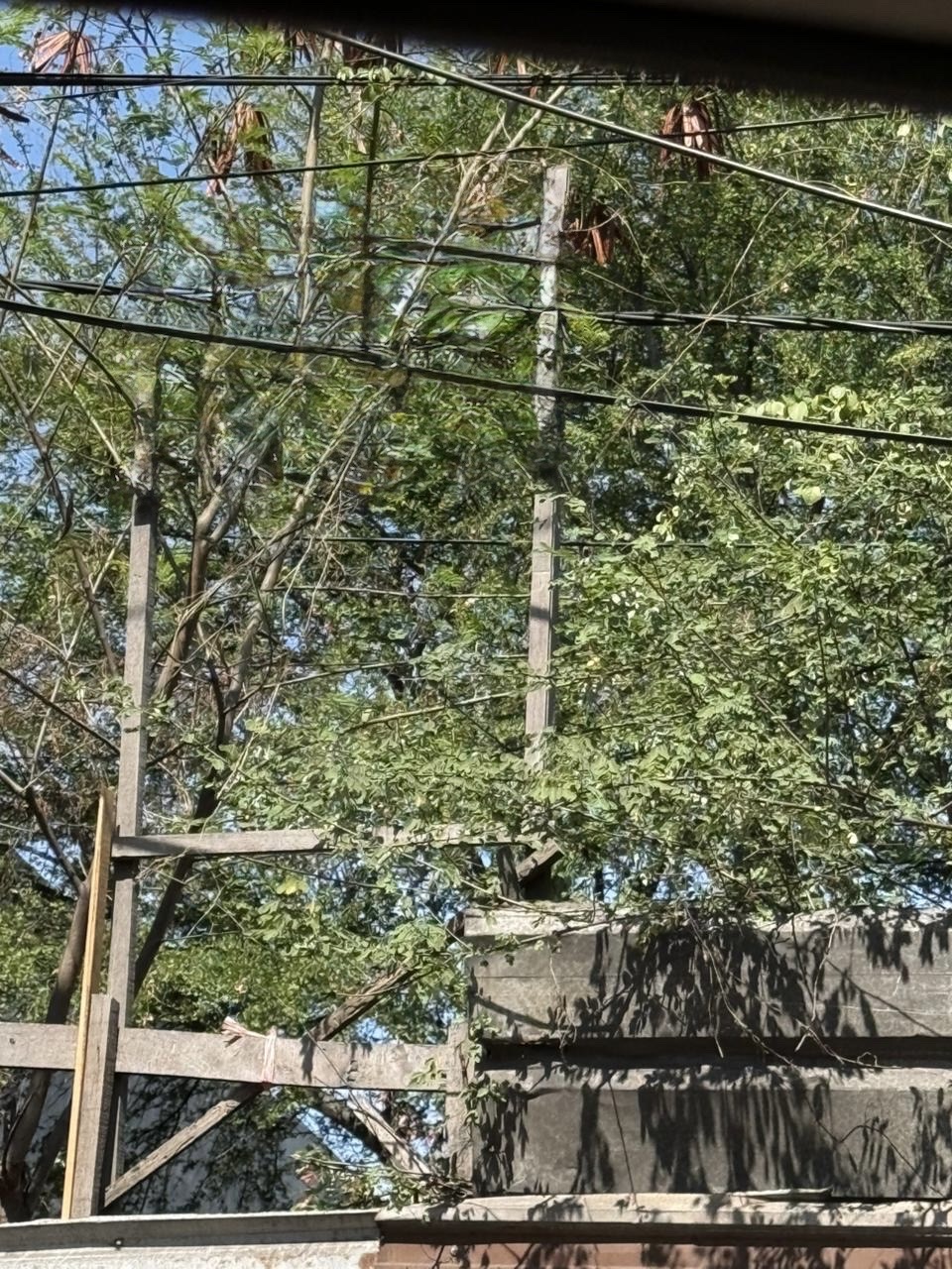 tanah raya margomulyo dijual - Dealkan