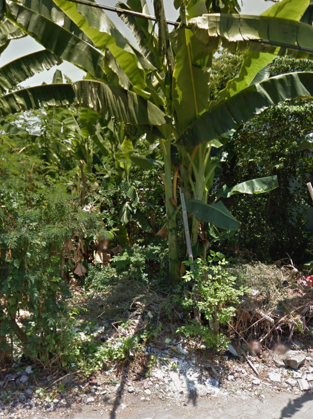 Detail Listing Properti Dealkan