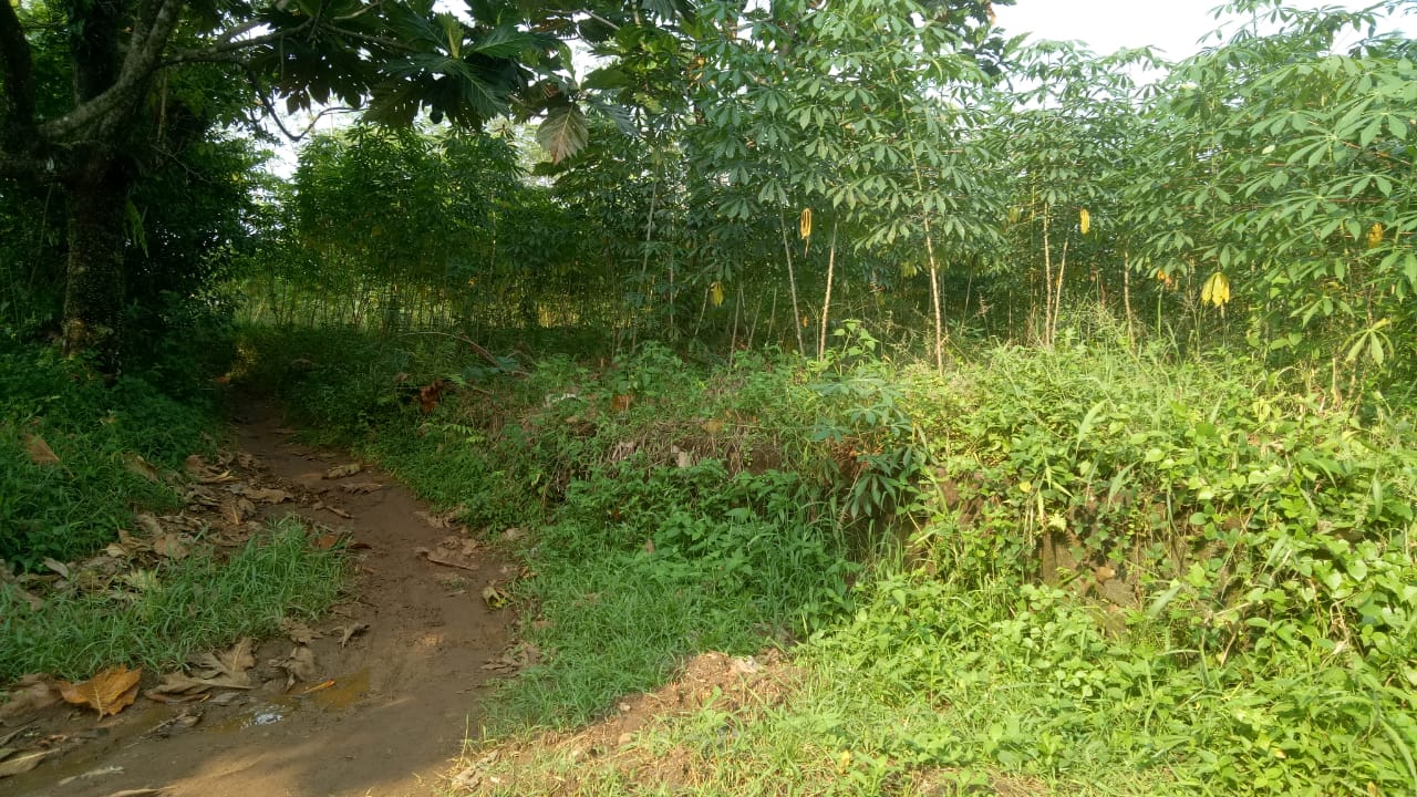 Detail Listing Properti Dealkan