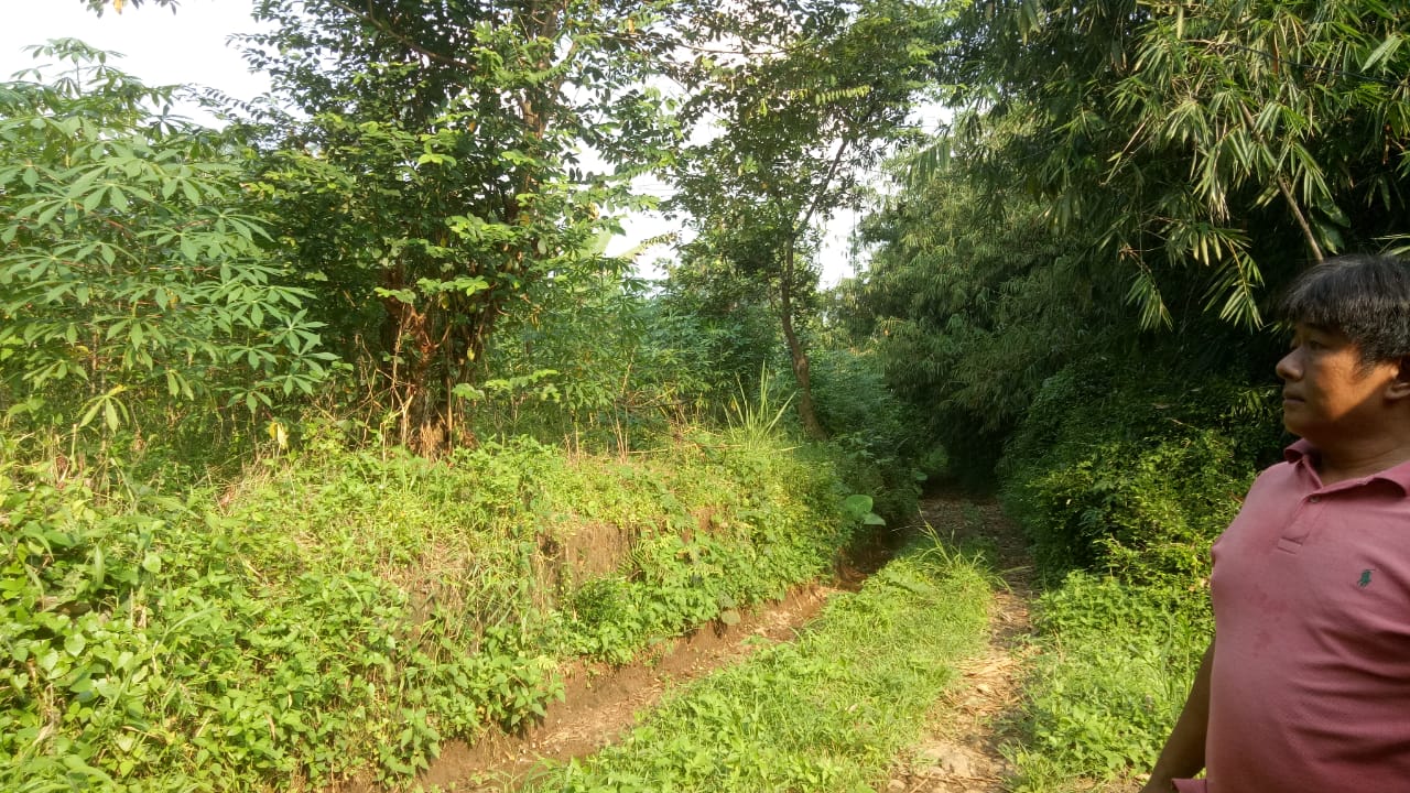 Tanah Bogor ,tanah padat, Dataran Tinggi cocok untuk peternakan - Dealkan