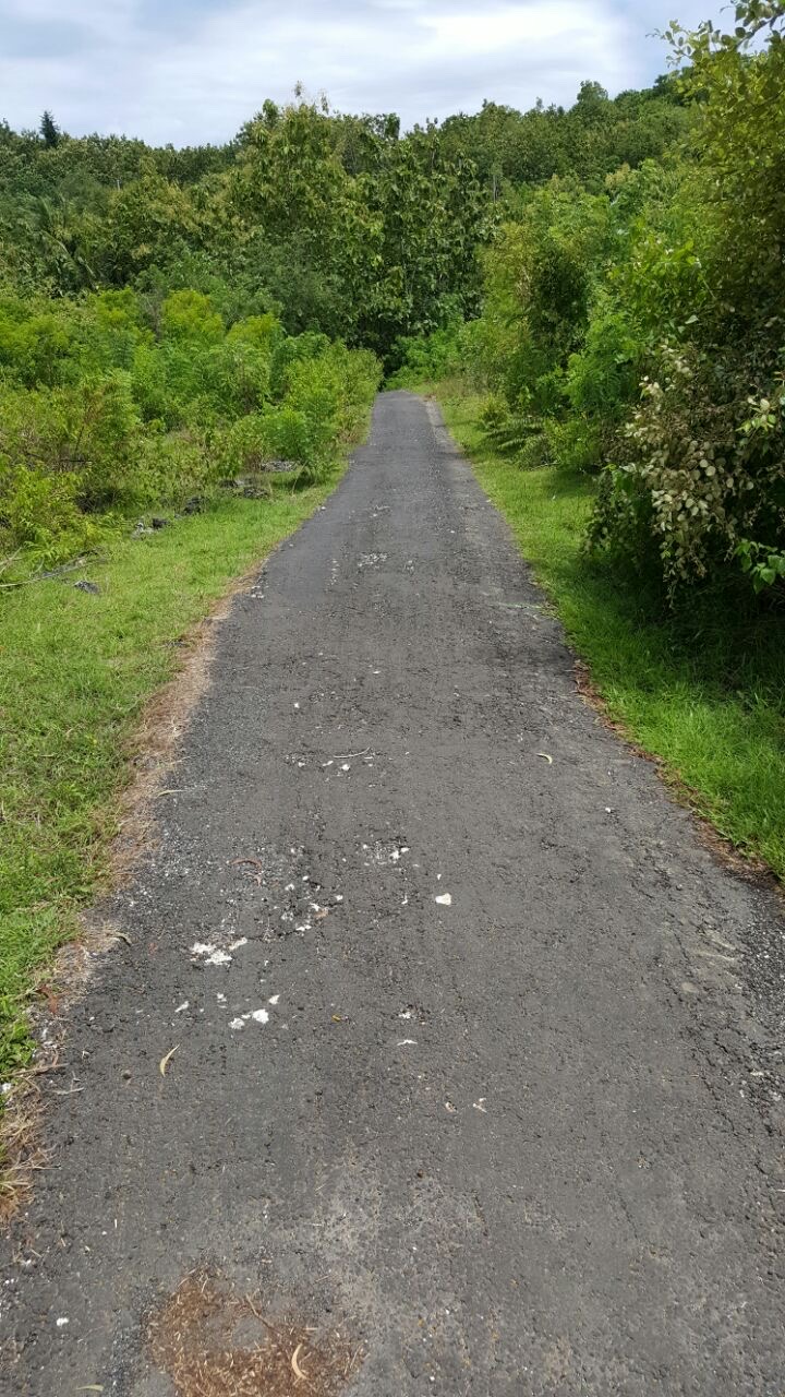 Detail Listing Properti Dealkan