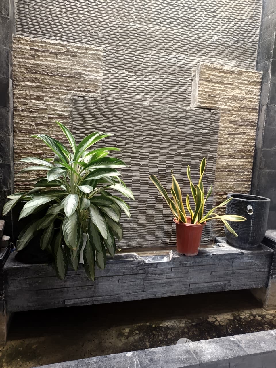 Detail Listing Properti Dealkan