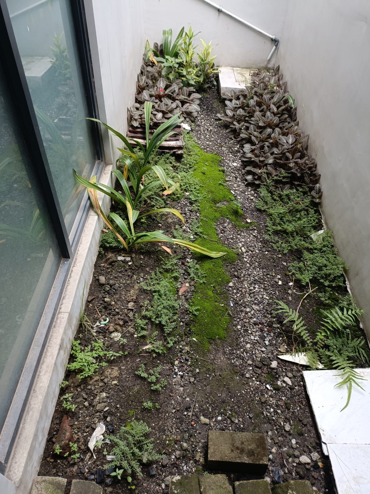 Detail Listing Properti Dealkan