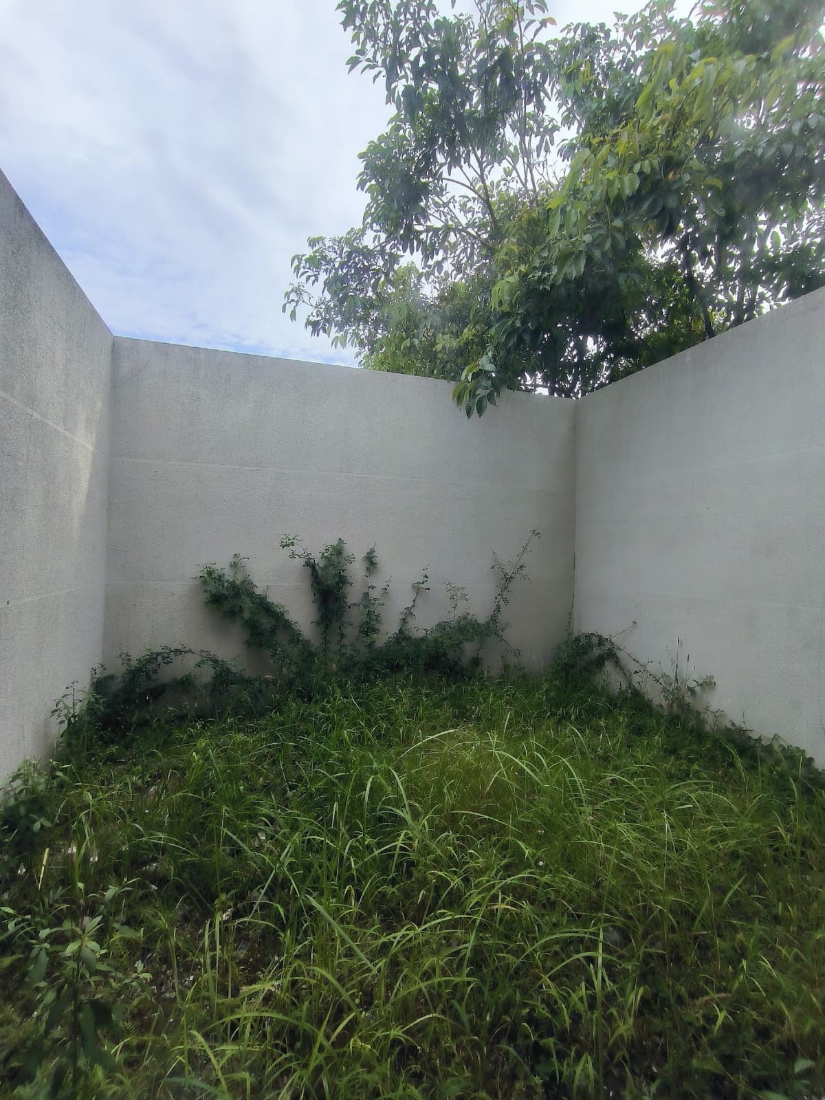 Detail Listing Properti Dealkan