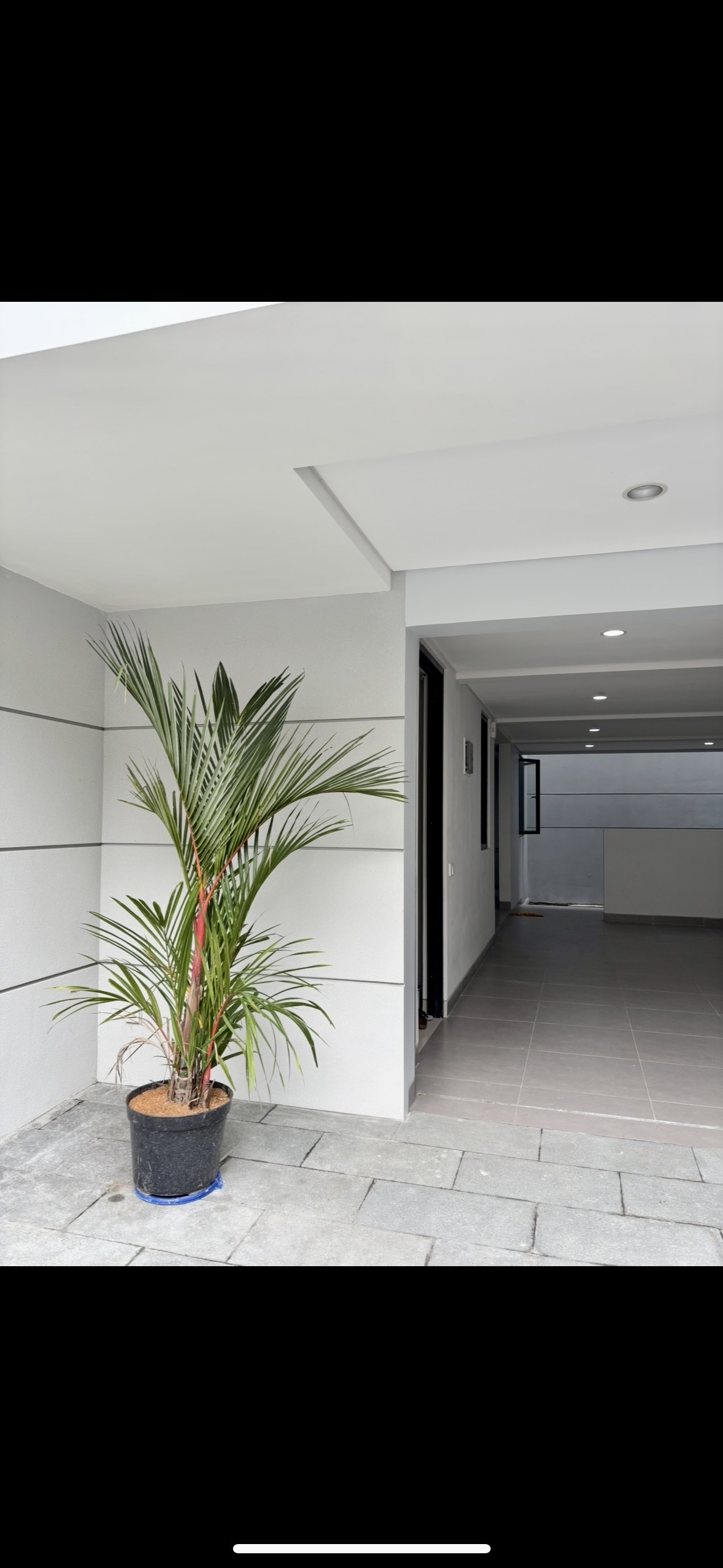 Detail Listing Properti Dealkan