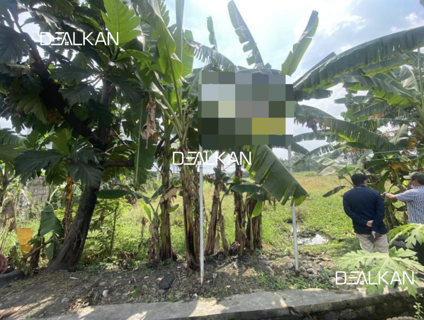 Gambar Kecil 1
