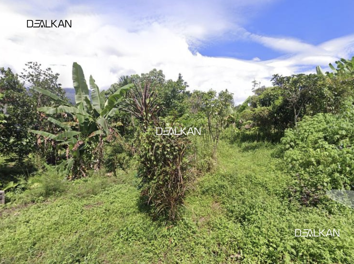 Dijual Tanah Luas 300 m² di Prigen - Dealkan