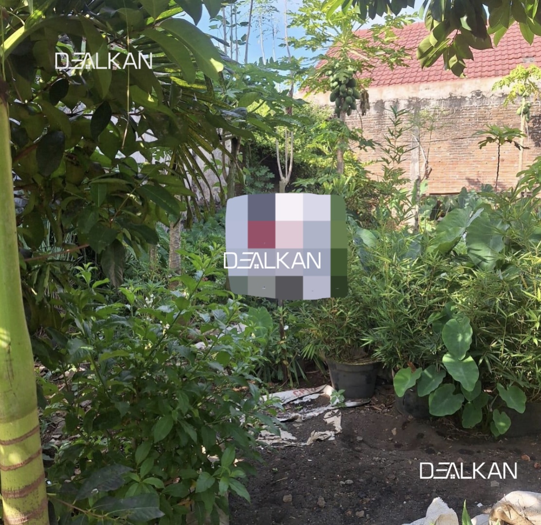 Dijual Tanah Luas 99 m² di Pakis Malang - Dealkan