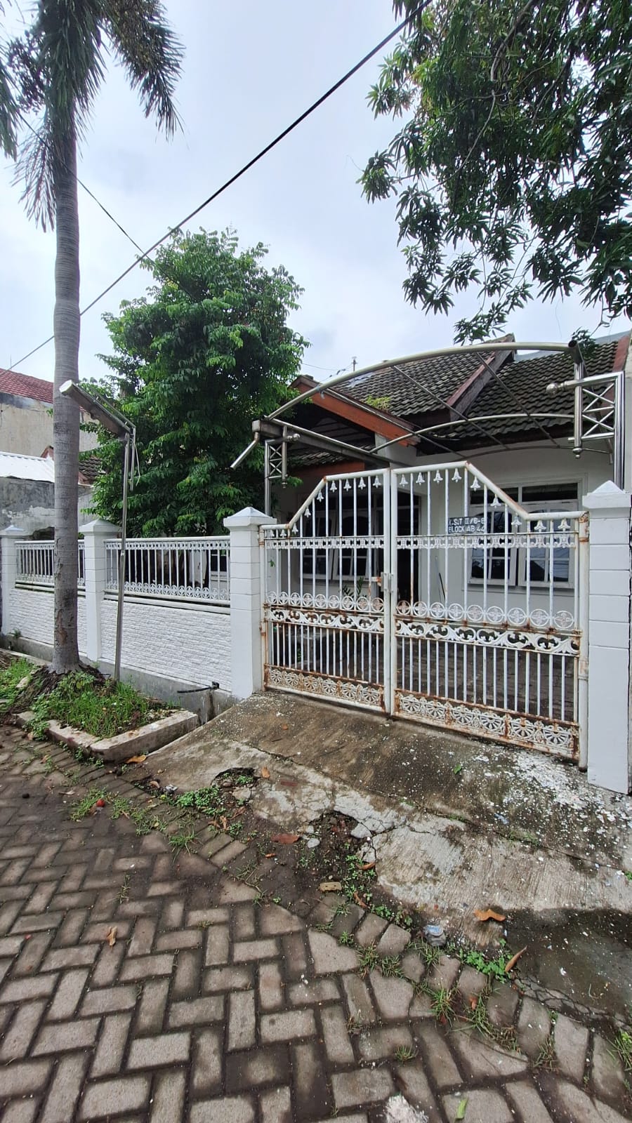 DISEWAKAN RUMAH 2 KAVLING, KLAMPIS SEMOLO TIMUR - Dealkan
