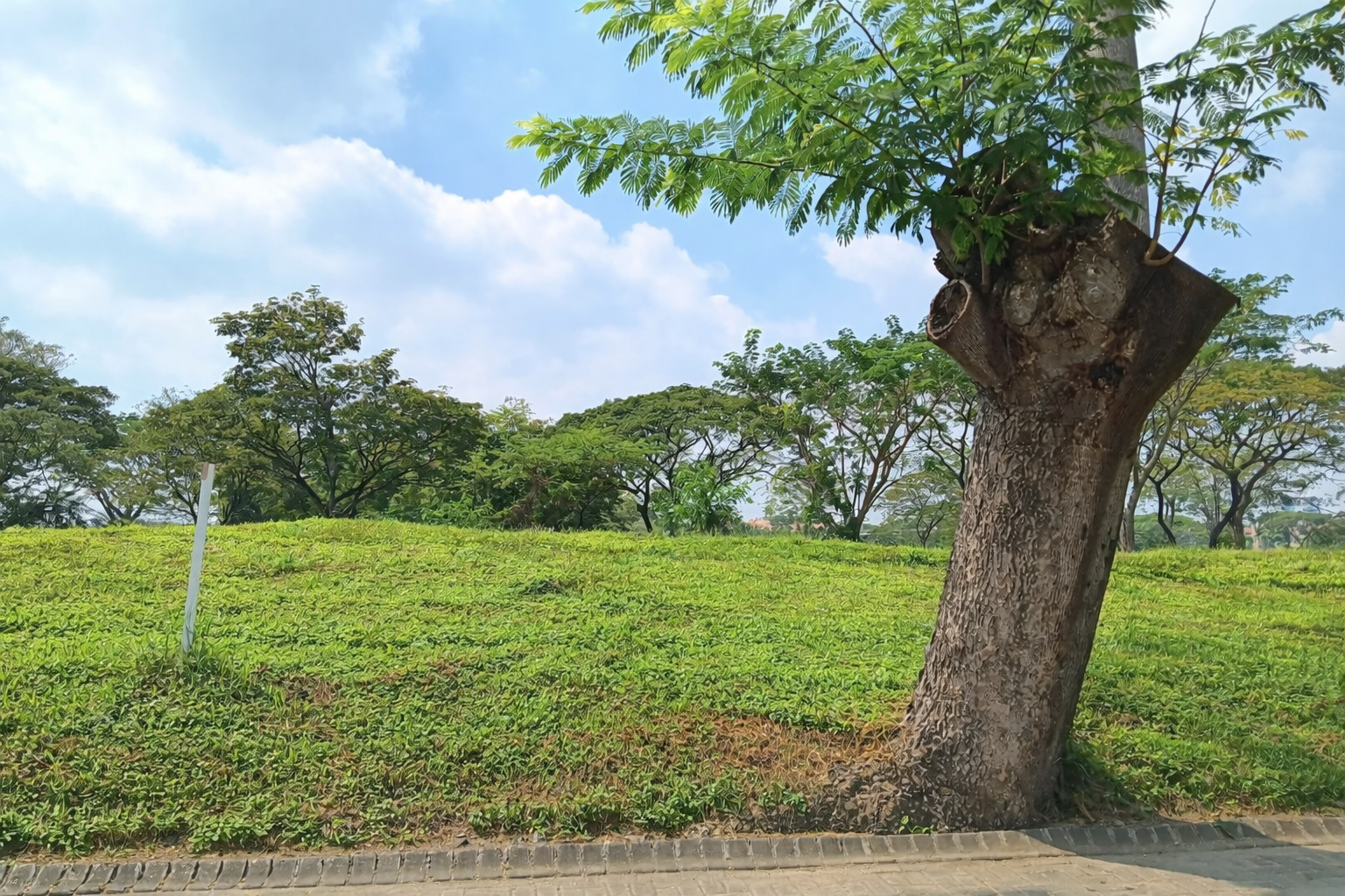 DIJUAL KAVLING TANAH SIAP BANGUN BULIT GOLF CITRALAND - Dealkan