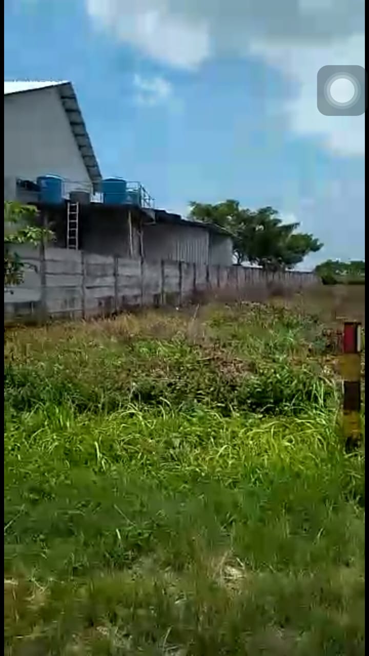 Detail Listing Properti Dealkan