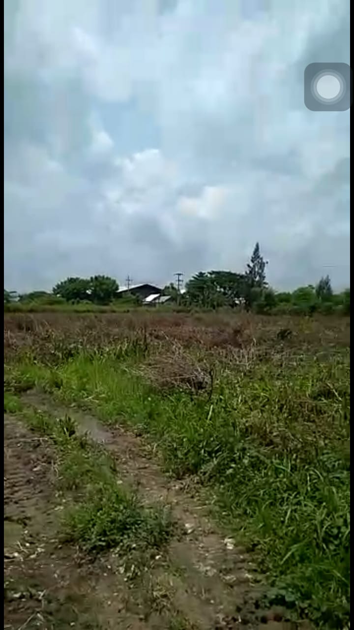 Gambar Kecil 2