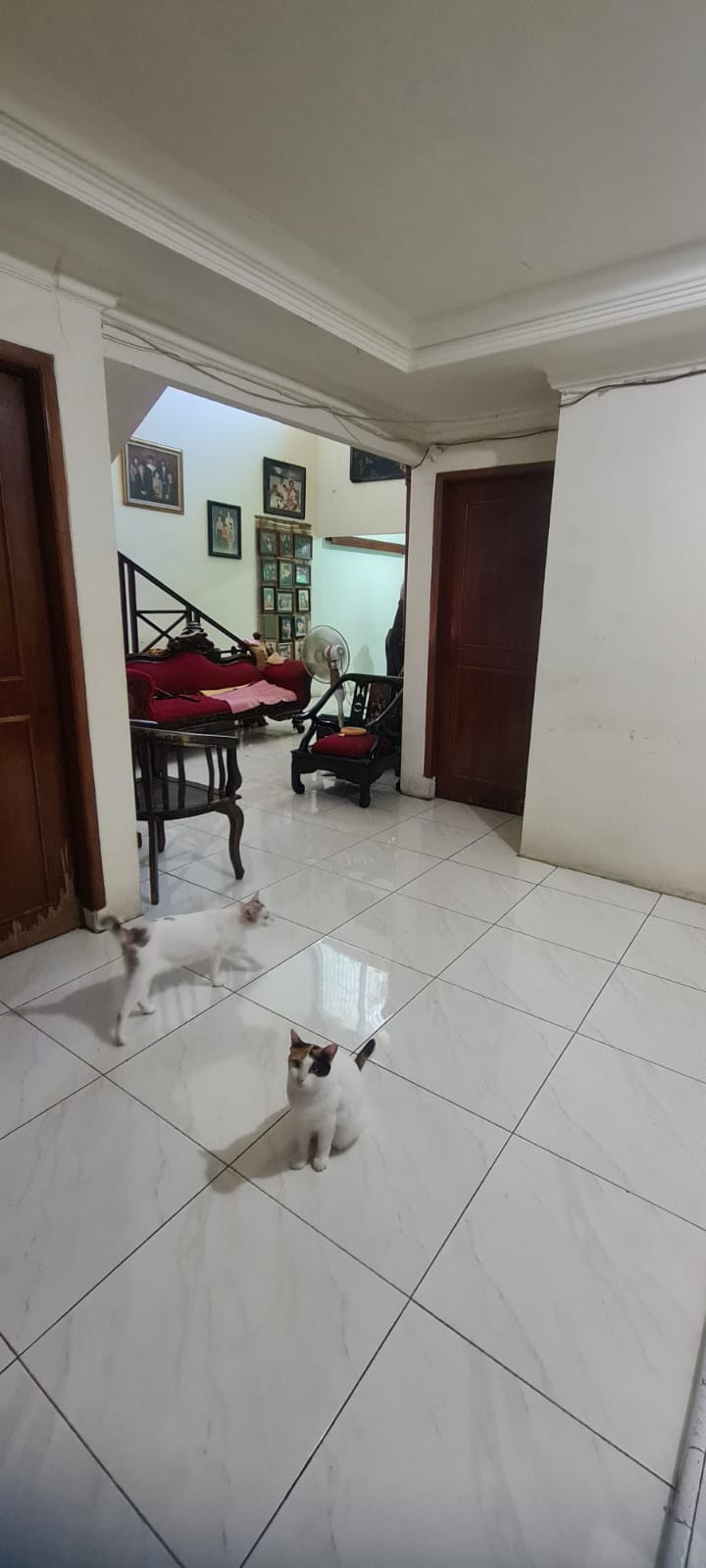 Gambar Kecil 2