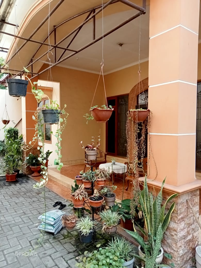 Detail Listing Properti Dealkan